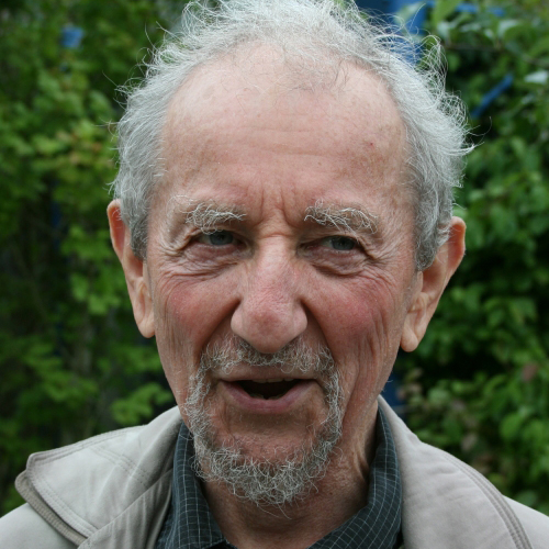 Harvey Goldstein