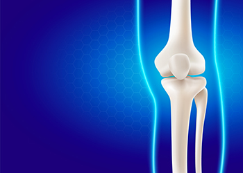 An illustration of human leg and knee bones