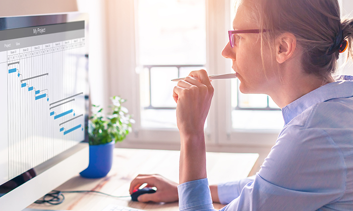 A woman looking at a chart on a computer screen