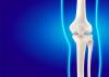 An illustration of human leg and knee bones